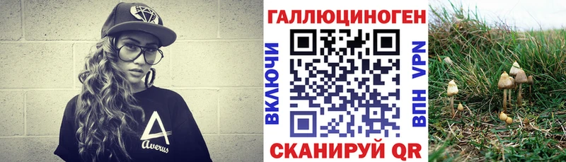 Галлюциногенные грибы мухоморы  Малая Вишера 