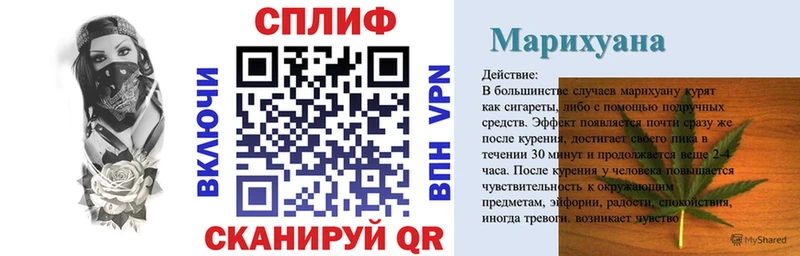 Каннабис сатива  Малая Вишера 